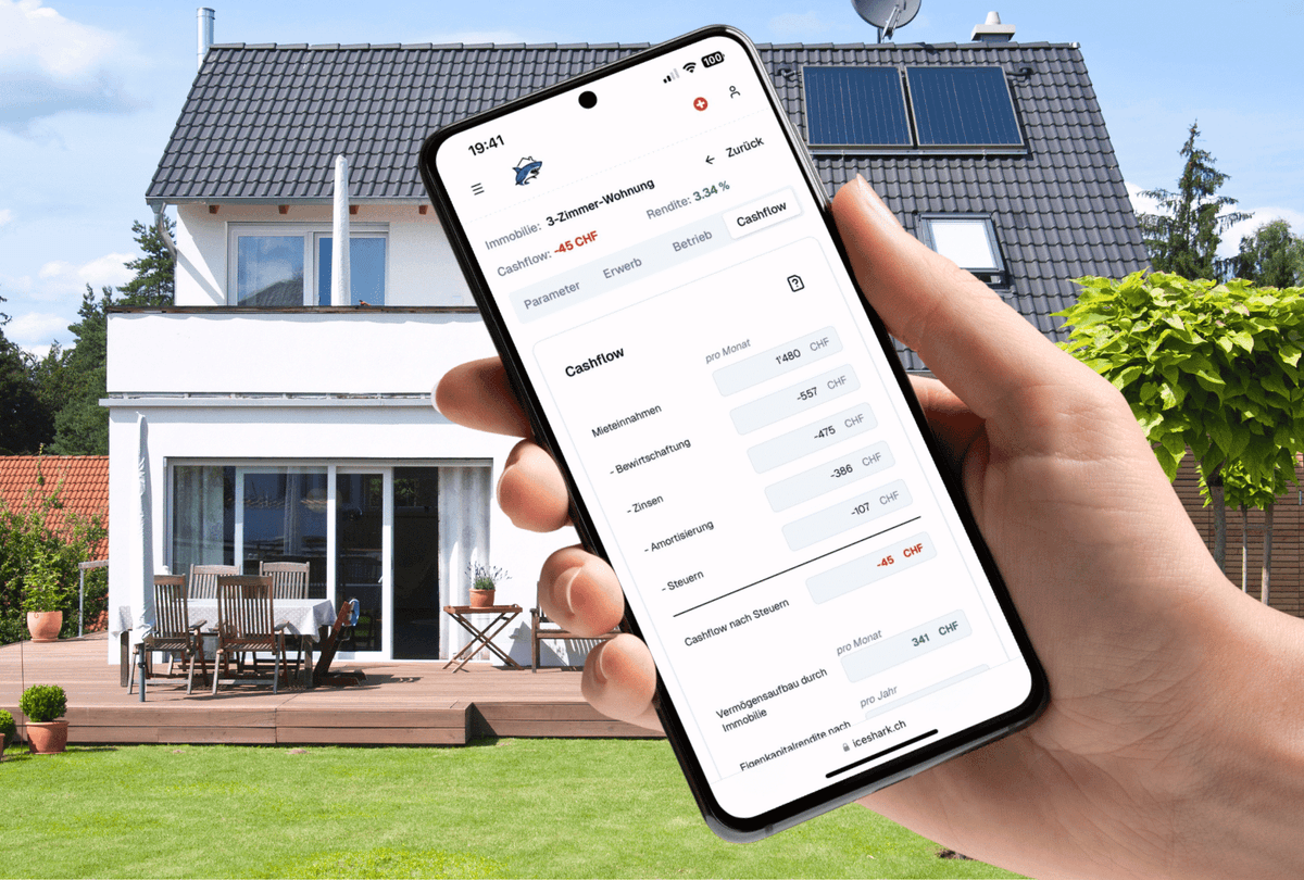 Sofortige Cashflow-Analyse